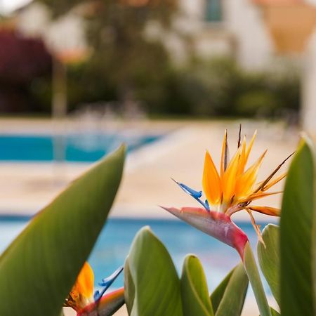 Appartement Sunny Getaway In Funchal Extérieur photo